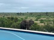 Horizons River Lodge Mjejane