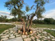 Top Ceglie Messapica