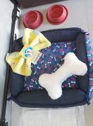 Top Socorro
