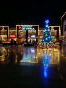 Gardenia City apartments