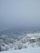 Holiday home Hižica v plavem trnacu