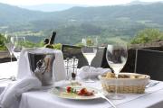 Top Buzet