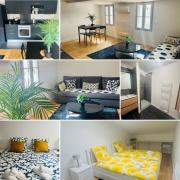 Somptueux T3 neuf centre ville