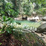 Gallene Gala Nature Resort