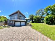 The African Flamingo