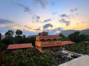 kokan kinara by wild flower