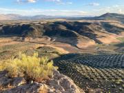 Top Fuentes de Cesna