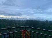 Beach Paddy View Villa