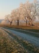 Ferienwohnung an der Elbe