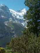 Top Grindelwald
