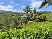 Top Vagamon Top Vagamon