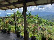 Salawin Fruit Jungle Farmstay