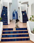 Top La Isleta del Moro