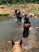 Top Canale Monterano