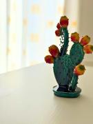 Nausicaa Beach and Town Nausicaa Beach and Town