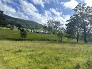 Black Cockatoo Tyalgum