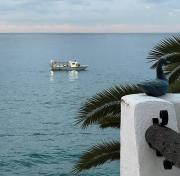 Top Vilanova i la Geltrú