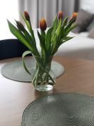 Top Warszawa Top Warszawa