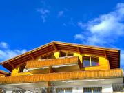 SwissHut Stunning Views Alps Lake - Apart Aelenbach