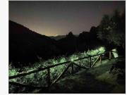 Top Coreglia Antelminelli