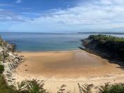 Pisuco en mataleñas