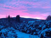 Top Lutowiska Top Lutowiska