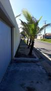 Top Cascavel