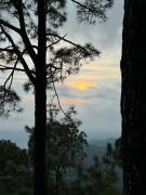 Top Kasauli Top Kasauli