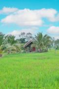 Habarana Farm Cottage