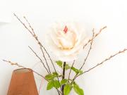 Top Champigny-sur-Marne