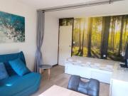 Résidence Le France - Studio vue pistes MAE-1051