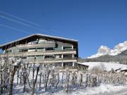 My Mountain next door