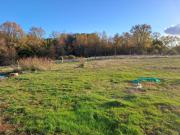 Top Yungay Top Yungay