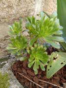 Top Vila Nova de Tazem