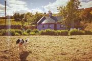 Mountain Cottage with Barn Sauna, Clonbur, Galway