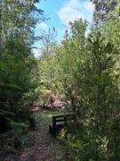 Top Puerto Varas Top Puerto Varas