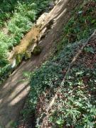 Casa aconchegante na serra