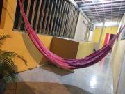 Top Natal