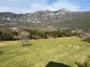 Top Herceg-Novi