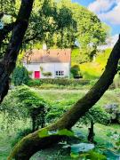 Pretty Dartmoor Cottage in woodland-setting