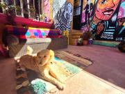 Top San Cristóbal de Las Casas