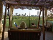 Luxor Experience Guest House