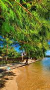 Top Ilha de Boipeba
