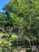 Cosy Cabin Collection In Veddinge Bakker