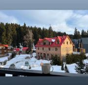 Bakuriani - Eko Village 20 apartment with a kitchen