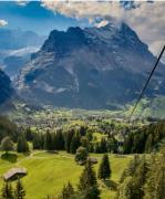 Top Grindelwald
