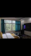 Top Dalhousie