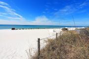 Top Panama City Beach