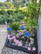 Top Trans-en-Provence