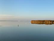 Top Workum Top Workum